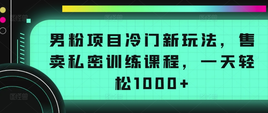 男粉项目冷门新玩法，售卖私密训练课程，一天轻松1000+【揭秘】-小鸿资源库