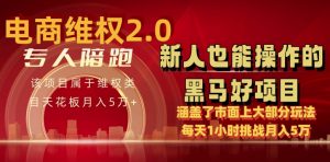 电商维权 4.0 如何做到月入 5 万+每天 1 小时新人也能快速上手【仅揭秘】-小鸿资源库