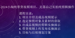 2024小淘纯带货视频项目，无需自己实拍纯剪辑操作-小鸿资源库