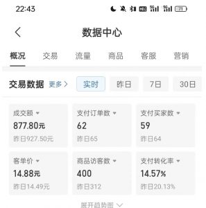 拼多多虚拟U盘电商红利项目：月赚2万+，新手小白也能玩-小鸿资源库