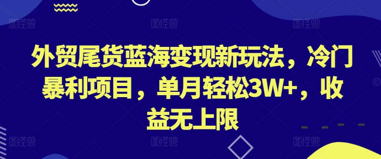 外贸尾货蓝海变现新玩法，冷门暴利项目，单月轻松3W+，收益无上限【揭秘】-小鸿资源库