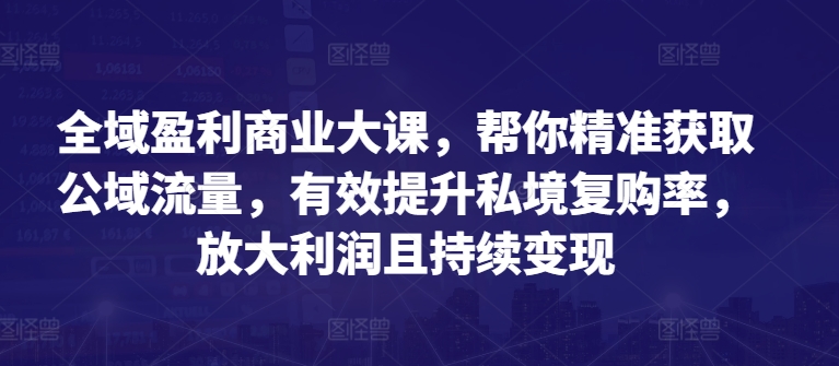 全域盈利商业大课，帮你精准获取公域流量，有效提升私境复购率，放大利润且持续变现-小鸿资源库