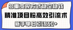 精准项目粉高效引流术，新手单日引流50+，多重变现方式稳定赚钱【揭秘】-小鸿资源库