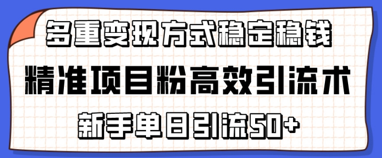 精准项目粉高效引流术，新手单日引流50+，多重变现方式稳定赚钱【揭秘】-小鸿资源库