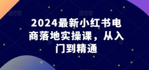 2024最新小红书电商落地实操课，从入门到精通-小鸿资源库