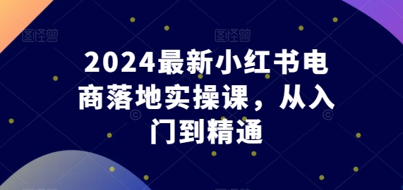 2024最新小红书电商落地实操课，从入门到精通-小鸿资源库