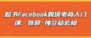 脸书Facebook跨境电商入门课，外贸·独立站必修-小鸿资源库