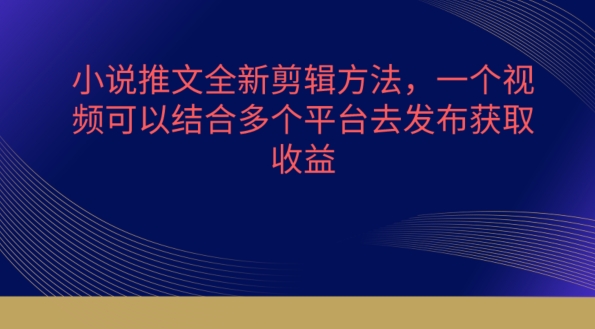 小说推文全新剪辑方法，一个视频可以结合多个平台去发布获取【揭秘】-小鸿资源库
