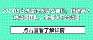 2024线上流量操盘实战课程，搭建高人效流量团队，掌握多平台流量-小鸿资源库