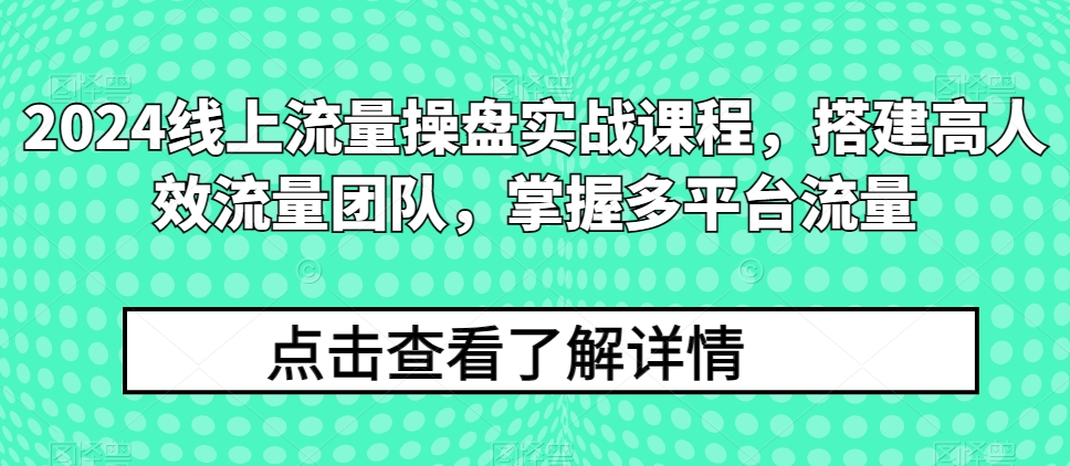 2024线上流量操盘实战课程，搭建高人效流量团队，掌握多平台流量-小鸿资源库