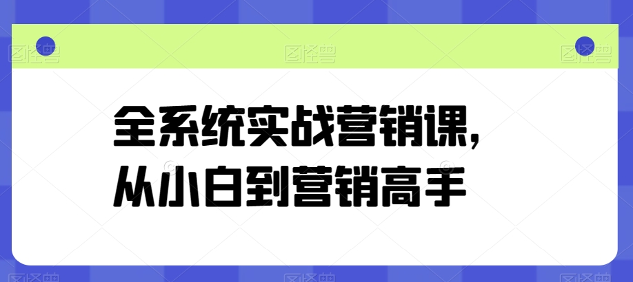 全系统实战营销课，从小白到营销高手-小鸿资源库