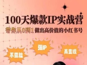 小红书100天爆款IP实战营,带你从0到1做出高价值的小红书号-小鸿资源库