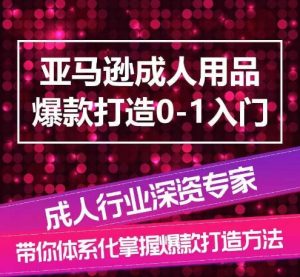 亚马逊成人用品爆款打造0-1入门，系统化讲解亚马逊成人用品爆款打造的流程-小鸿资源库