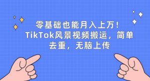 零基础也能月入上w,TikTok风景视频搬运,简单去重,无脑上传【揭秘】-小鸿资源库