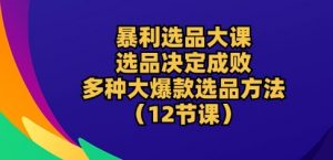暴利选品大课：选品决定成败，教你多种大爆款选品方法(12节课)-小鸿资源库
