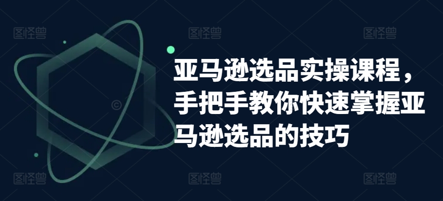 亚马逊选品实操课程,手把手教你快速掌握亚马逊选品的技巧-小鸿资源库
