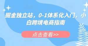 掘金独立站,0-1体系化入门,小白跨境电商指南-小鸿资源库