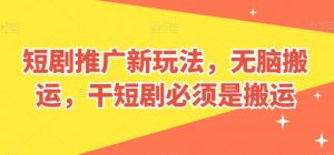 短剧推广新玩法，无脑搬运，干短剧必须是搬运【揭秘】-小鸿资源库