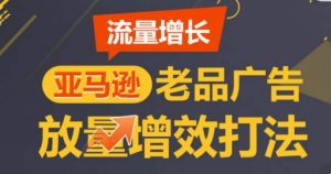 亚马逊流量增长-老品广告放量增效打法，循序渐进，打造更多TOP listing​-小鸿资源库