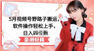 5月视频号野路子搬运,软件操作轻松上手,日入三位数【揭秘】-小鸿资源库