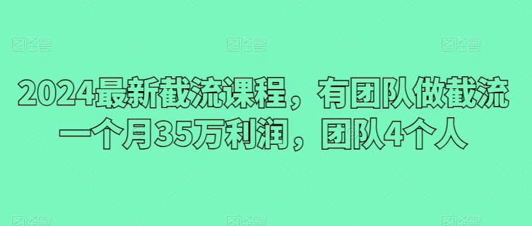 2024最新截流课程，有团队做截流一个月35万利润，团队4个人-小鸿资源库
