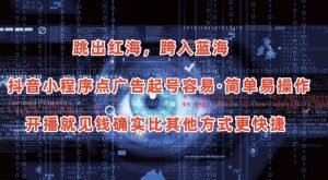 抖音小程序点广告项目，起号容易，简单易操作，开播就见有收益【揭秘】-小鸿资源库