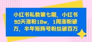 小红书私教第七期，小红书90天涨粉18w，1周涨粉破万，半年矩阵号粉丝破百万-小鸿资源库