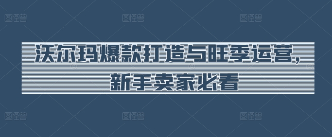 沃尔玛爆款打造与旺季运营，新手卖家必看-小鸿资源库