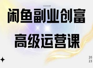 闲鱼电商运营高级课程，一部手机学会闲鱼开店赚钱-小鸿资源库