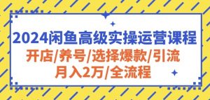 2024闲鱼高级实操运营课程：开店/养号/选择爆款/引流/月入2万/全流程-小鸿资源库