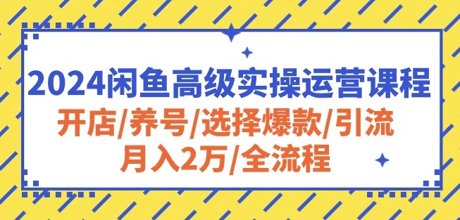 2024闲鱼高级实操运营课程：开店/养号/选择爆款/引流/月入2万/全流程-小鸿资源库
