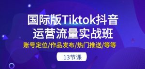 国际版Tiktok抖音运营流量实战班：账号定位/作品发布/热门推送/等等-13节-小鸿资源库