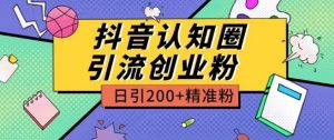 外面收费3980抖音认知圈引流创业粉玩法日引200+精准粉【揭秘】-小鸿资源库