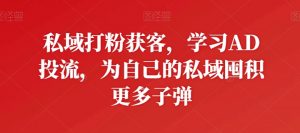 私域打粉获客，学习AD投流，为自己的私域囤积更多子弹-小鸿资源库