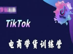 TikTok电商带货训练营，跟随时代潮流，跨境掘金-小鸿资源库