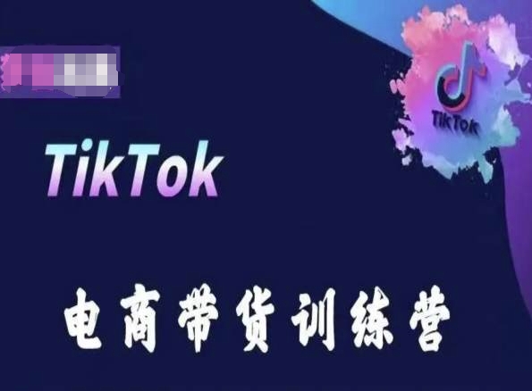 TikTok电商带货训练营，跟随时代潮流，跨境掘金-小鸿资源库