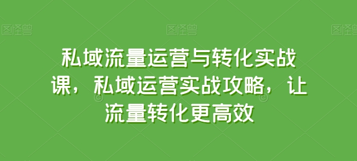 私域流量运营与转化实战课，私域运营实战攻略，让流量转化更高效-小鸿资源库