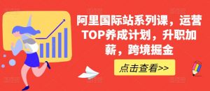 阿里国际站系列课,运营TOP养成计划,升职加薪,跨境掘金-小鸿资源库