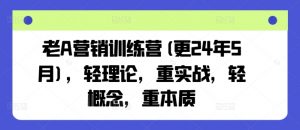 老A营销训练营(更24年5月)，轻理论，重实战，轻概念，重本质-小鸿资源库