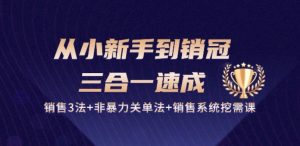 从小新手到销冠 三合一速成：销售3法+非暴力关单法+销售系统挖需课 (27节)-小鸿资源库