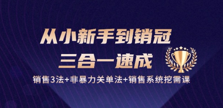 从小新手到销冠 三合一速成：销售3法+非暴力关单法+销售系统挖需课 (27节)-小鸿资源库