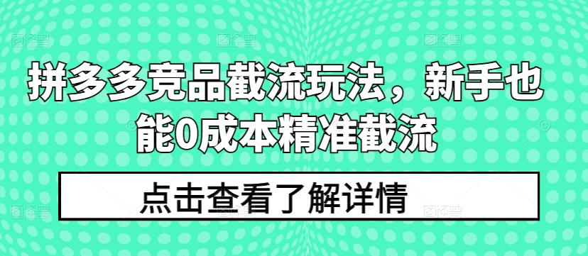 拼多多竞品截流玩法,新手也能0成本精准截流-小鸿资源库