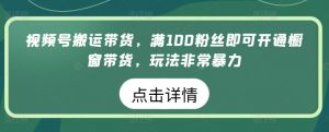 视频号搬运带货，满100粉丝即可开通橱窗带货，玩法非常暴力【揭秘】-小鸿资源库