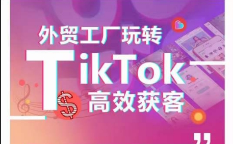外贸工厂玩转TikTok高效获客，多种引流方式与账号定位技巧，拆解爆款短视频打造成功案例-小鸿资源库