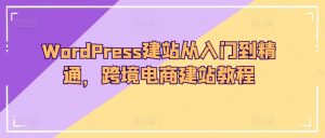 WordPress建站从入门到精通，跨境电商建站教程-小鸿资源库
