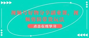 视频号好物分享副业课，视频剪辑带货玩法-小鸿资源库