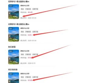 磁力聚星游戏副业陪跑训练营1.0，长期稳定项目，有人一周干了1K+-小鸿资源库