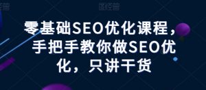 零基础SEO优化课程，手把手教你做SEO优化，只讲干货-小鸿资源库