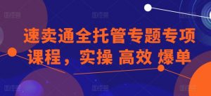 速卖通全托管专题专项课程,实操 高效 爆单-小鸿资源库