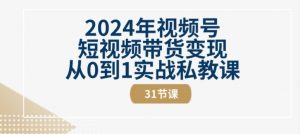 2024年视频号短视频带货变现从0到1实战私教课(31节视频课)-小鸿资源库